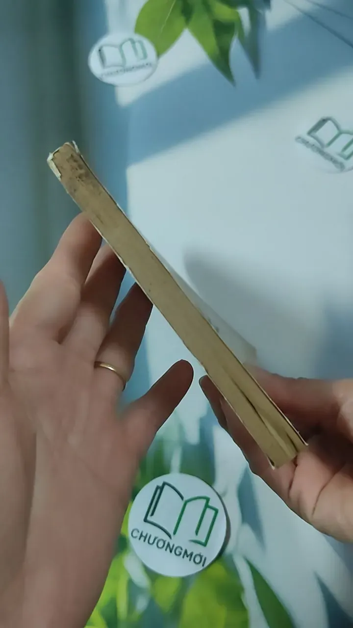 [XƯA] Sổ Tay Người Trồng Rau (1995) - Nguyễn Văn Thắng - Trần Khắc Thi 780855