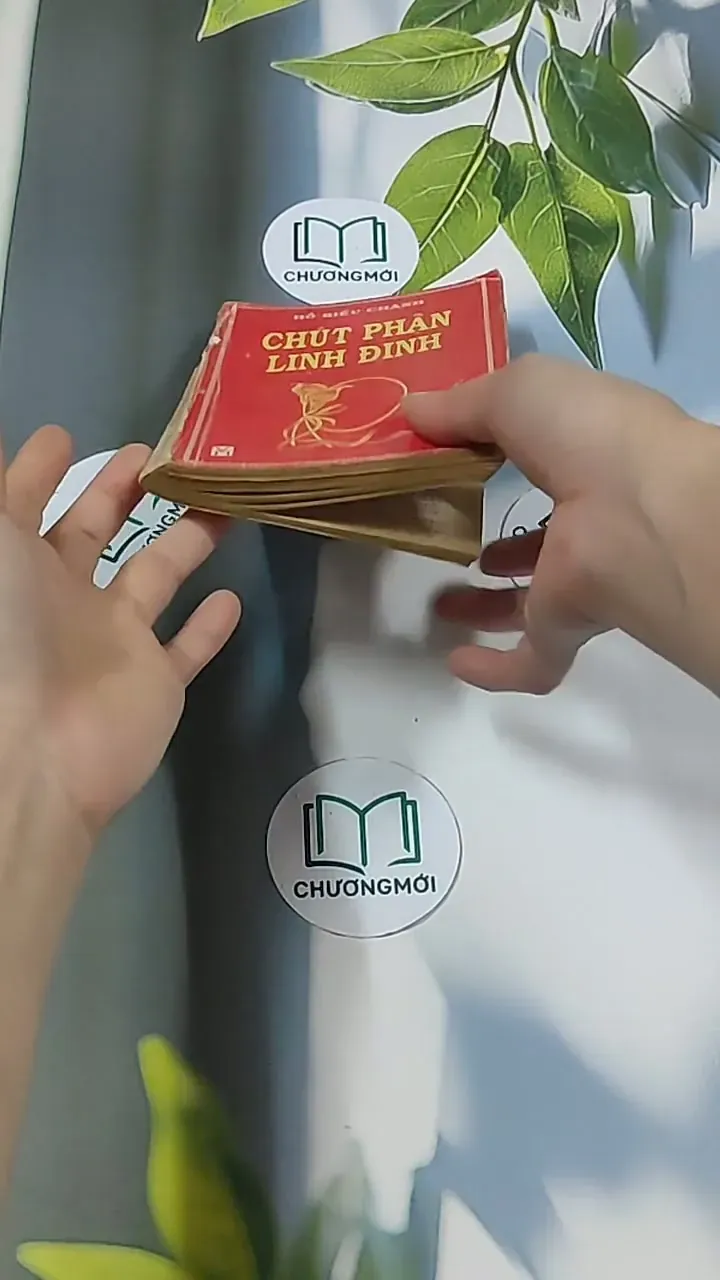 Chút Phận Linh Đinh (1996) - Hồ Biểu Chánh 674979