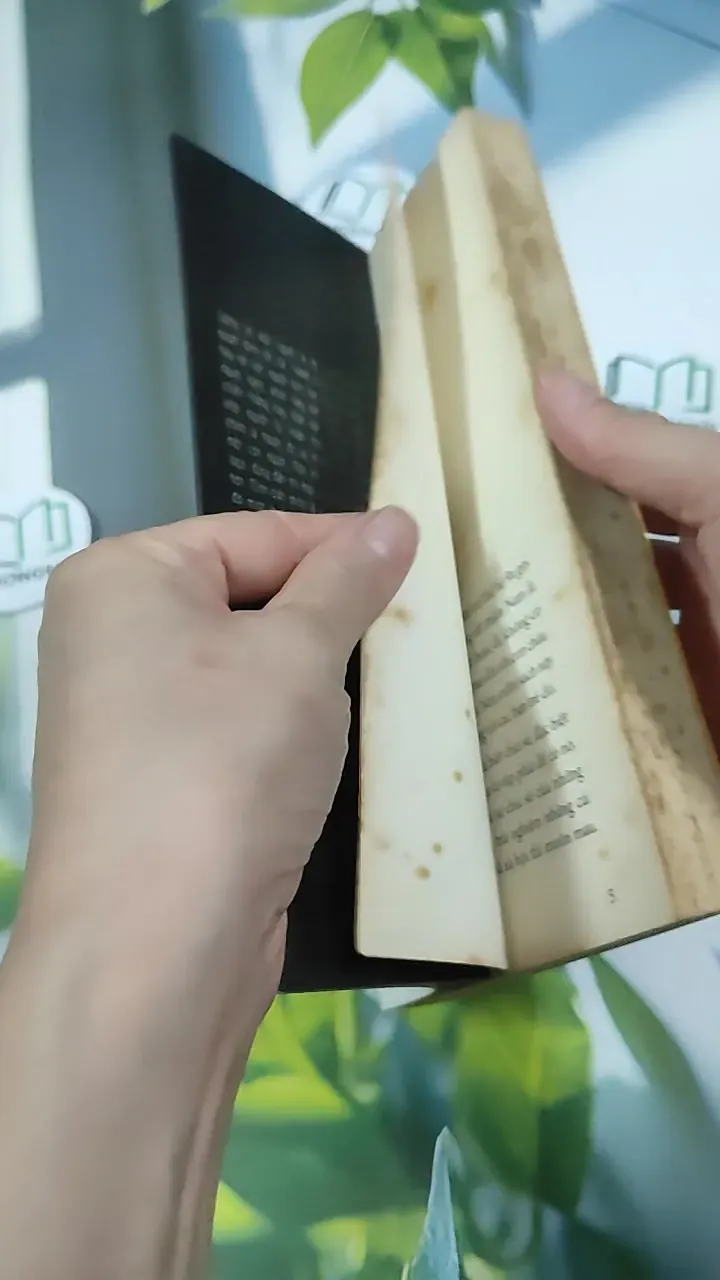 Trên Đường Băng - Tony Buổi Sáng 787079