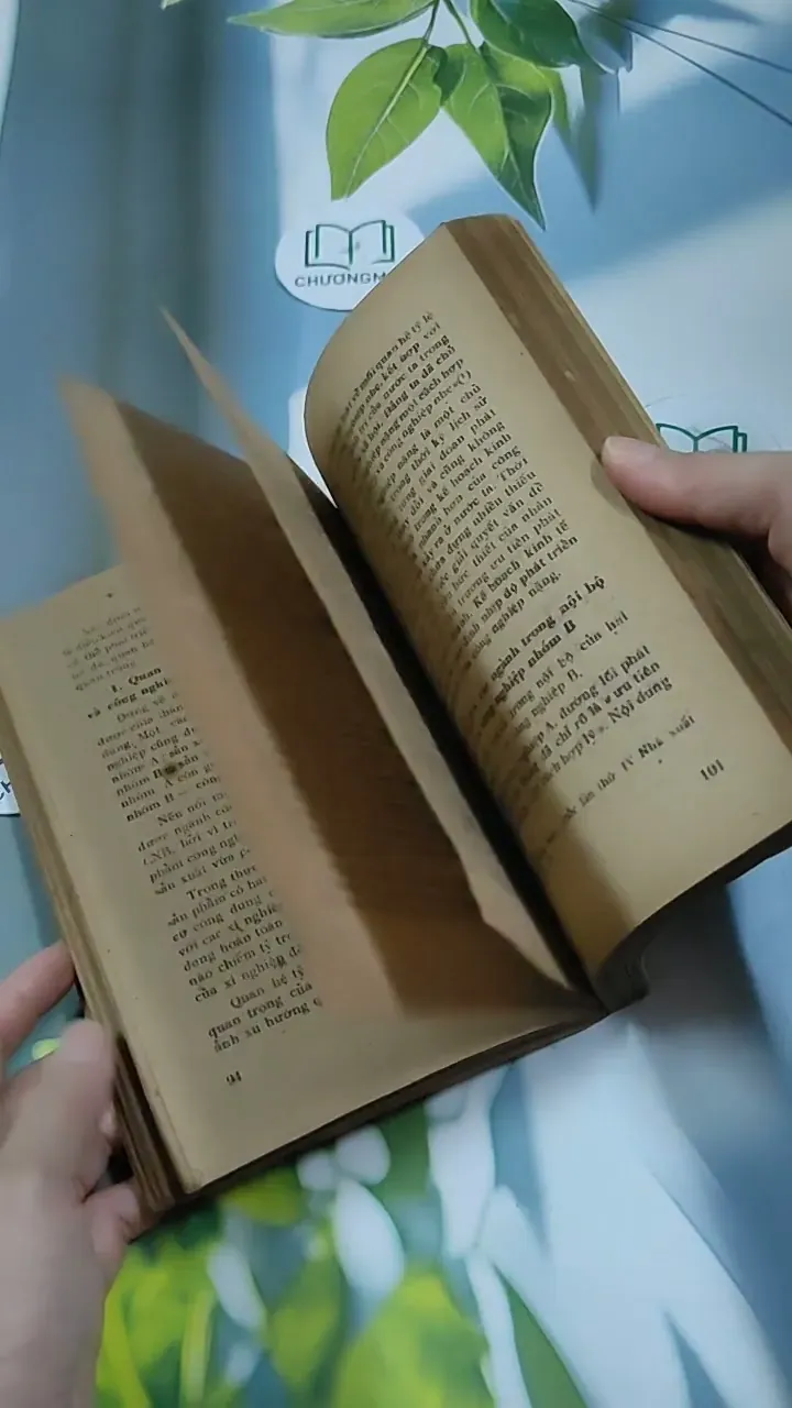 Kế Hoạch Hóa Kinh Tế Quốc Dân - Du Lô Giang 713884