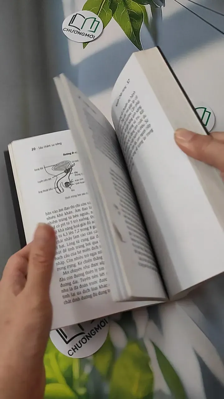 Sâu Thẳm Sự Sống - Nguyễn Chấn Hùng 780796