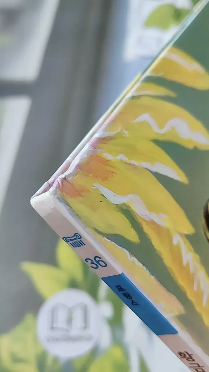 [Tặng nẹp góc] Truyện thiếu nhi Hàn Quốc: Moyamo Anu 36 -  모야모 아누와: 황금 섬을 찾아서 732033