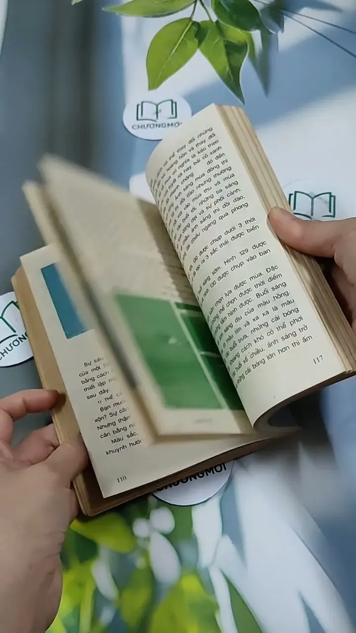 Nếu Bạn Muốn Chụp Một Tấm Hình Đẹp - Ninh Hùng 713856