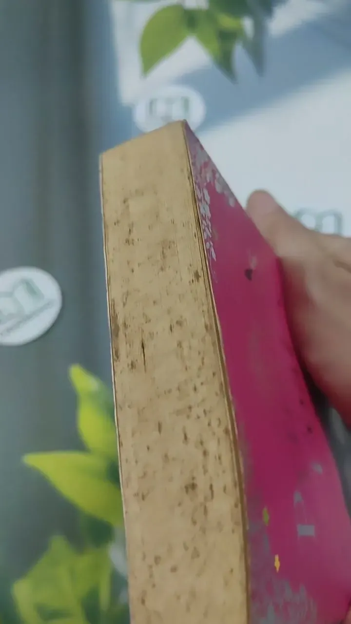 The Princess and the Foal - Stacy Gregg 715620