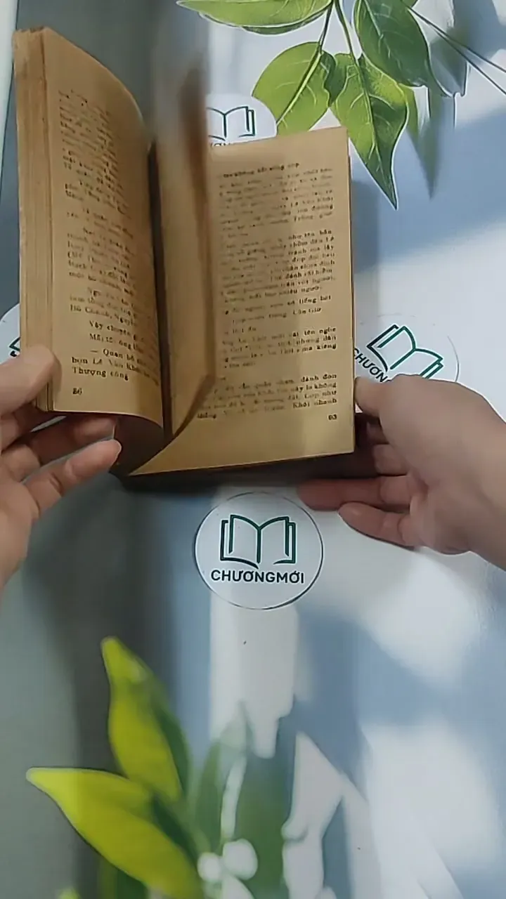 Tuổi Xanh Nguyễn Đình Chiểu (1987) - Thái Vũ 674974