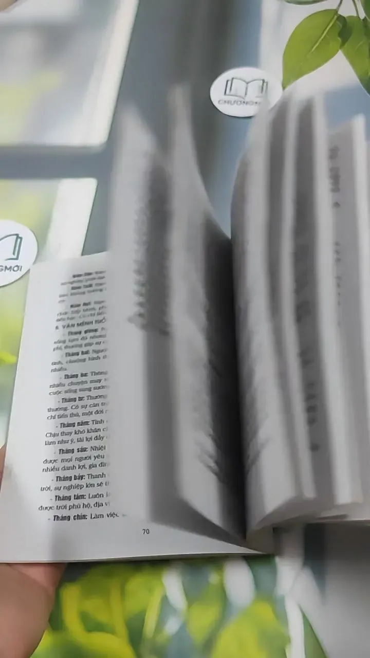 Vận Mệnh Tình Duyên Hôn Nhân Sự Nghiệp Tài Lộc Tính Cách Qua 12 Con Giáp Trọn Đời - Hà Th 727385