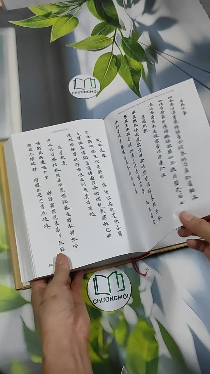 [MIỄN PHÍ BỌC SÁCH] Đinh Nho Hoàn: Thân Thế Và Sự Nghiệp - Hoàng Giáp 750797