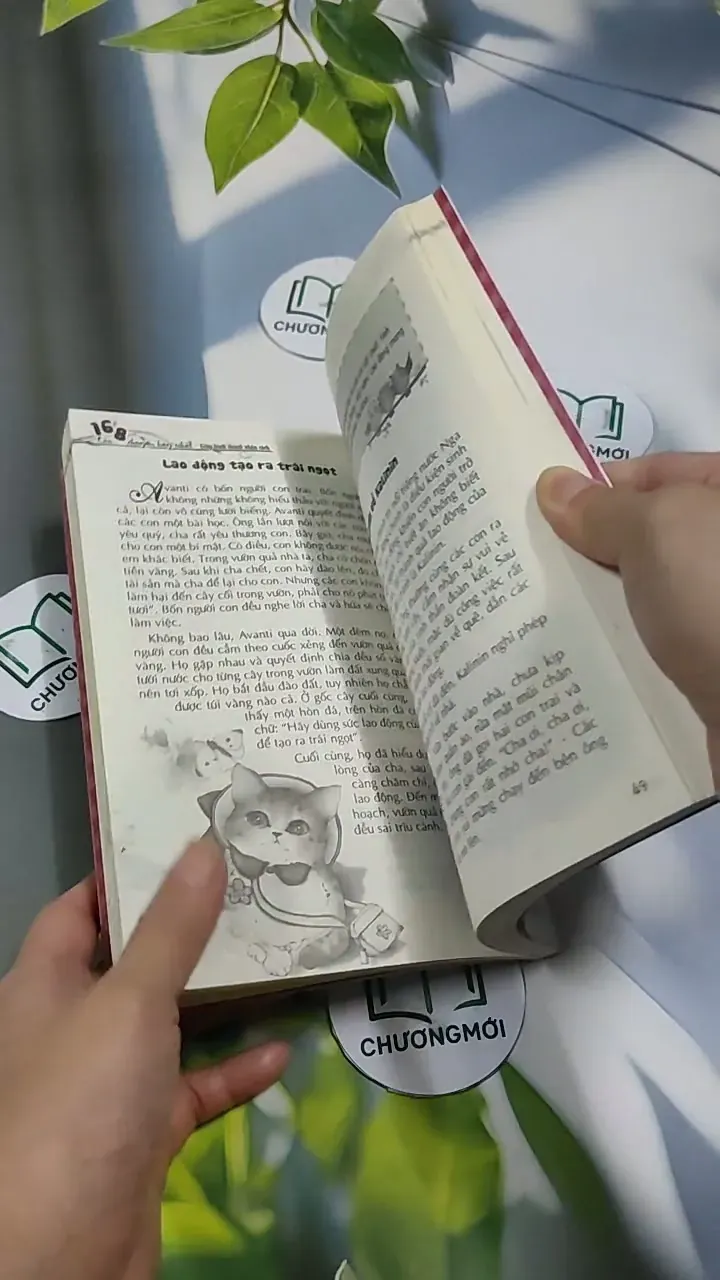 Kỹ năng sống dành cho học sinh: Cậu bé và cỏ tâm an 707317