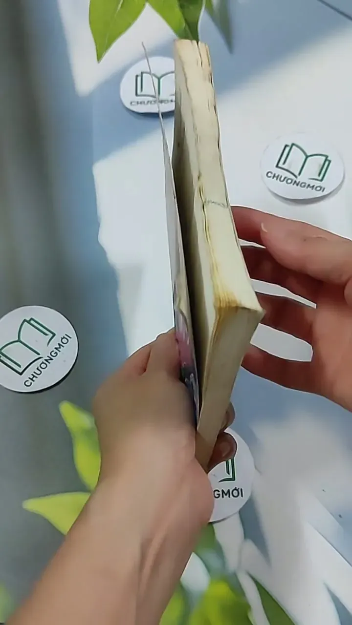 5 Centimet Trên Giây 703127