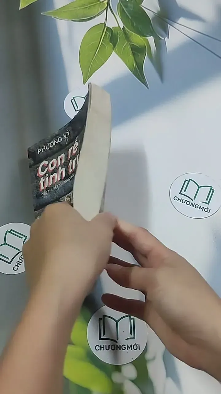 Con rể tỉnh trưởng - Phương Vỹ 695009