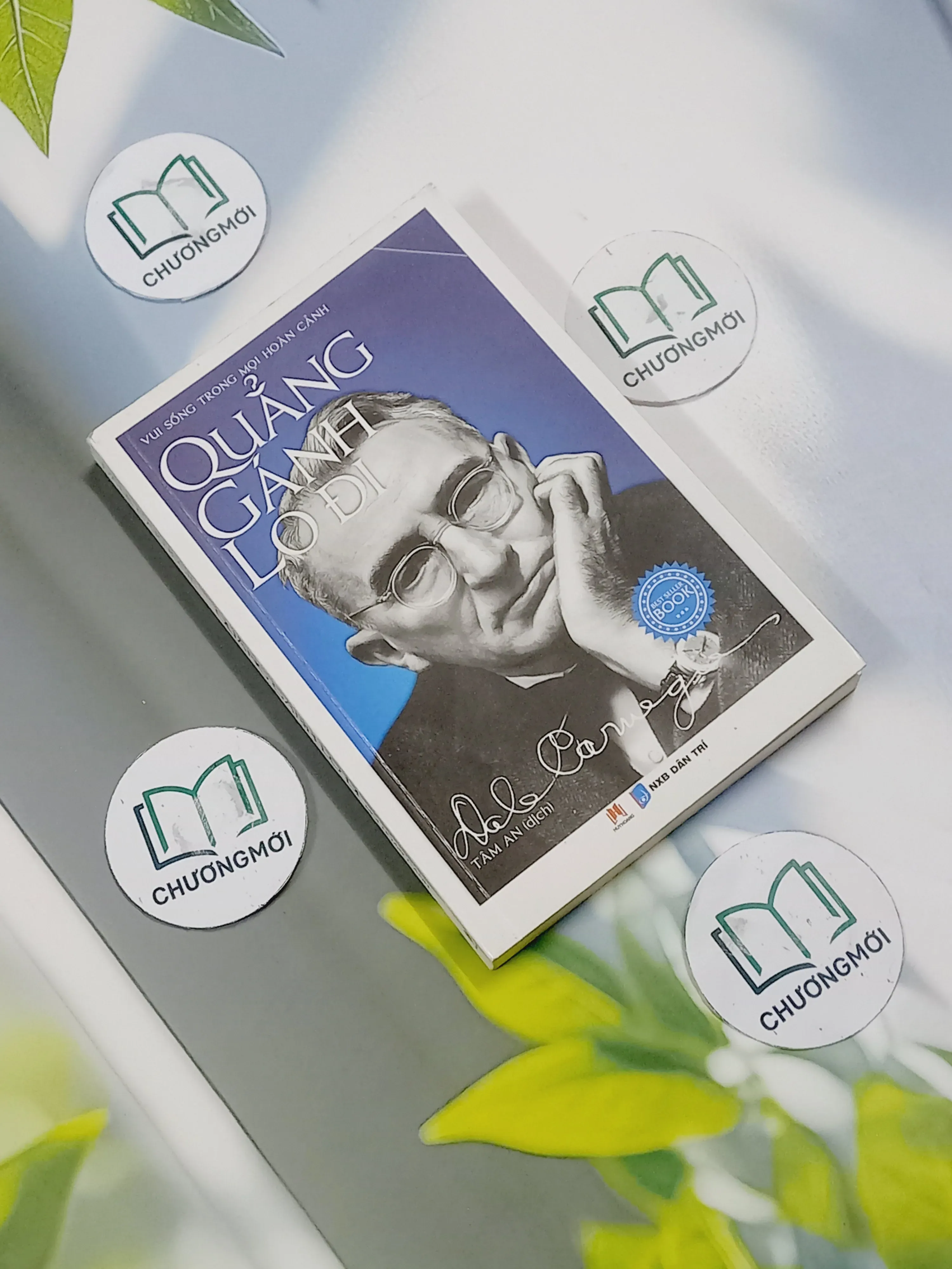 Quẳng Gánh Lo Đi Vui Sống Trong Mọi Hoàn Cảnh - Dale Carnegie