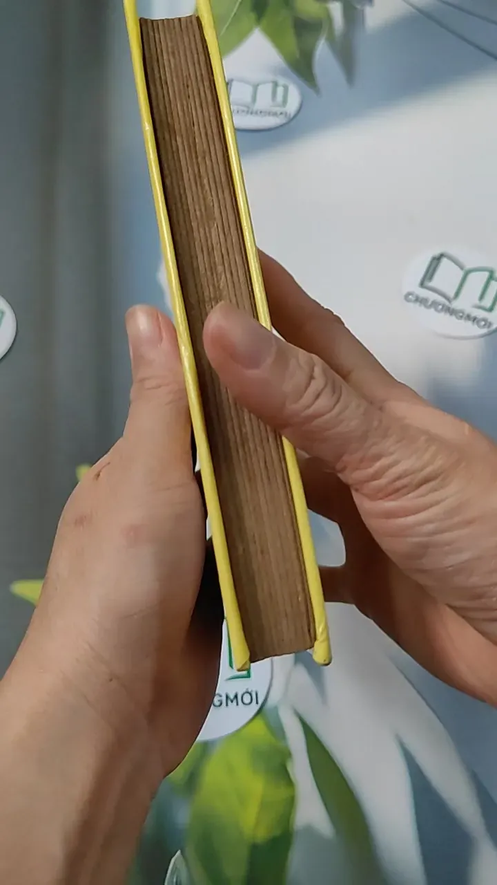 [MIỄN PHÍ BỌC SÁCH] La Petite Fadette - George Sand 749583