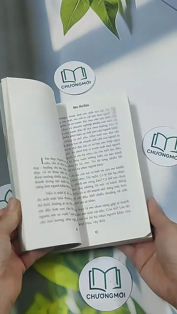 Giường - Phan An 694986