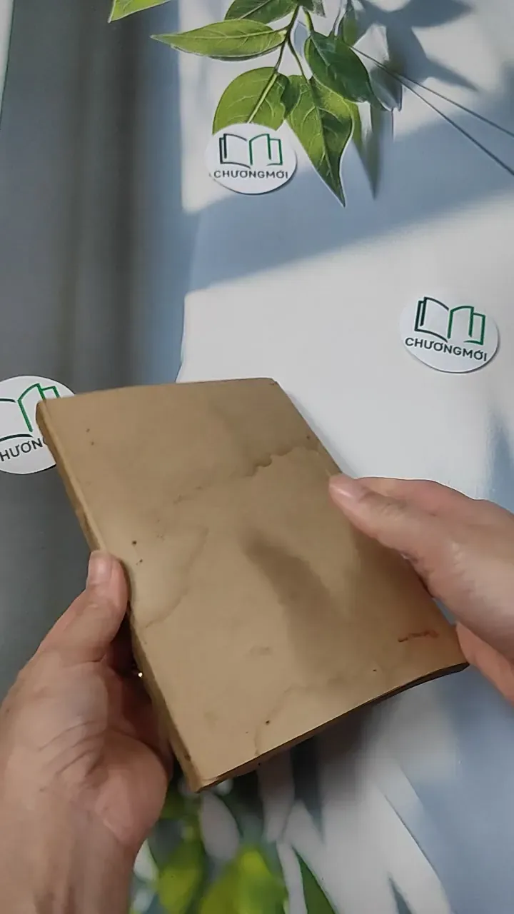 [XƯA] Những Chuyện Thánh Thần (1985) 775980