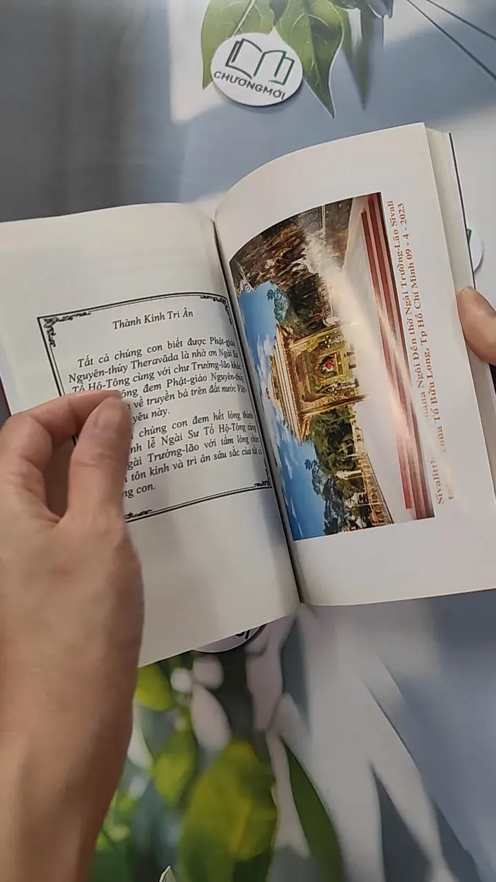 Tích Ngài Trưởng Lão Sivali - Phật Giáo Nguyên Thuỷ 775955