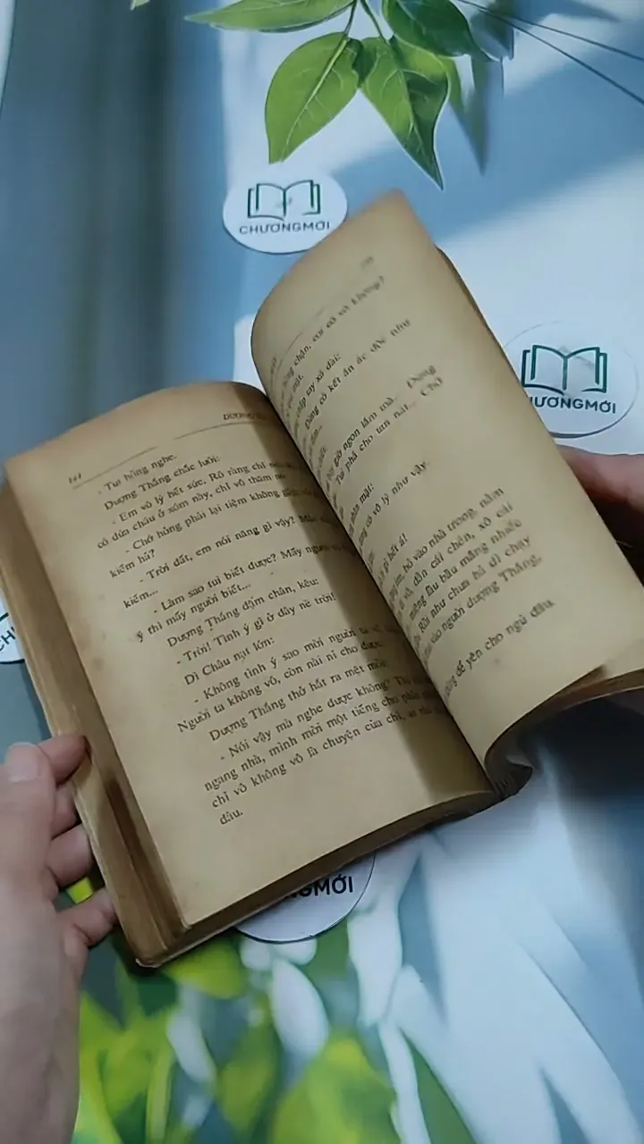 Đời Em Như Áng Mây - Dương Trữ La 713863