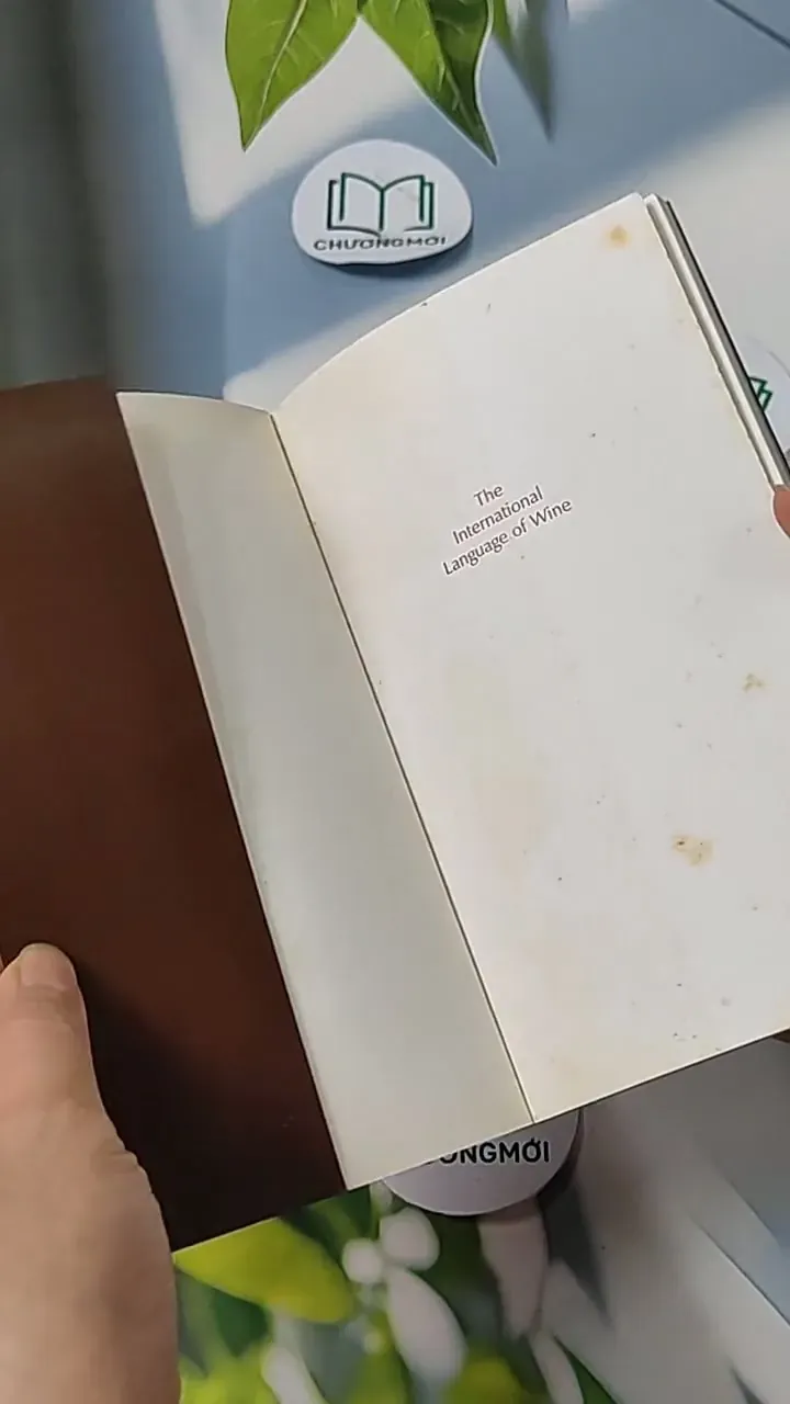 The International Language of Wine - Paul Le Lacheurr 703061