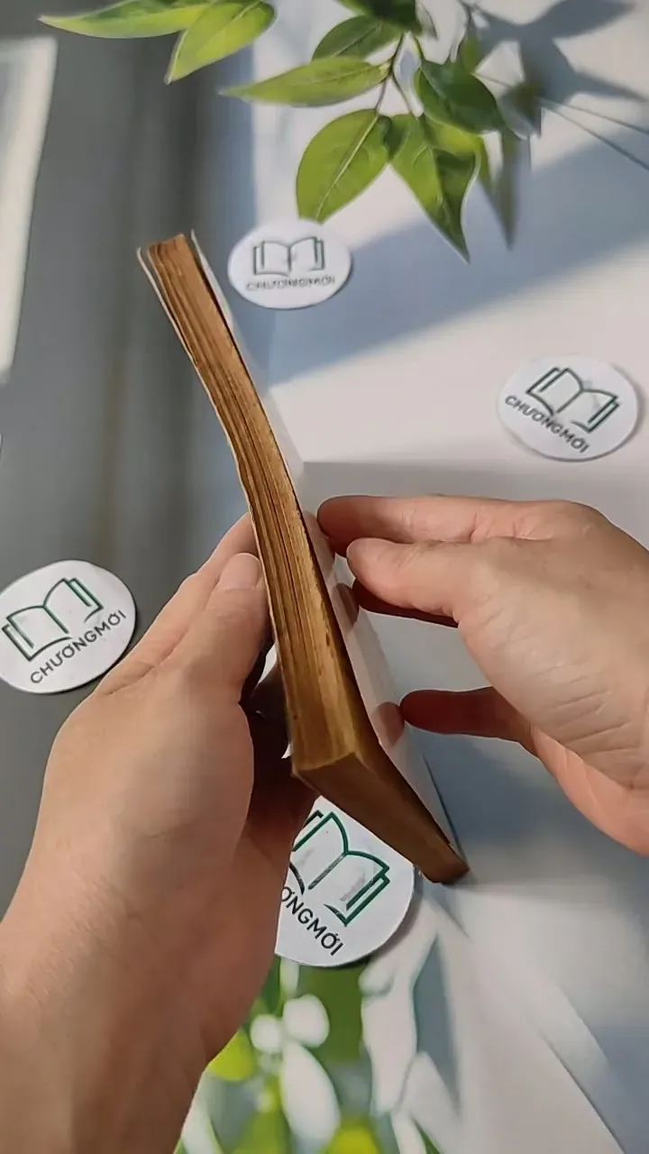 Những Người Đi Và Hai Người Ở Lại - Đinh Quang Nhã 713809