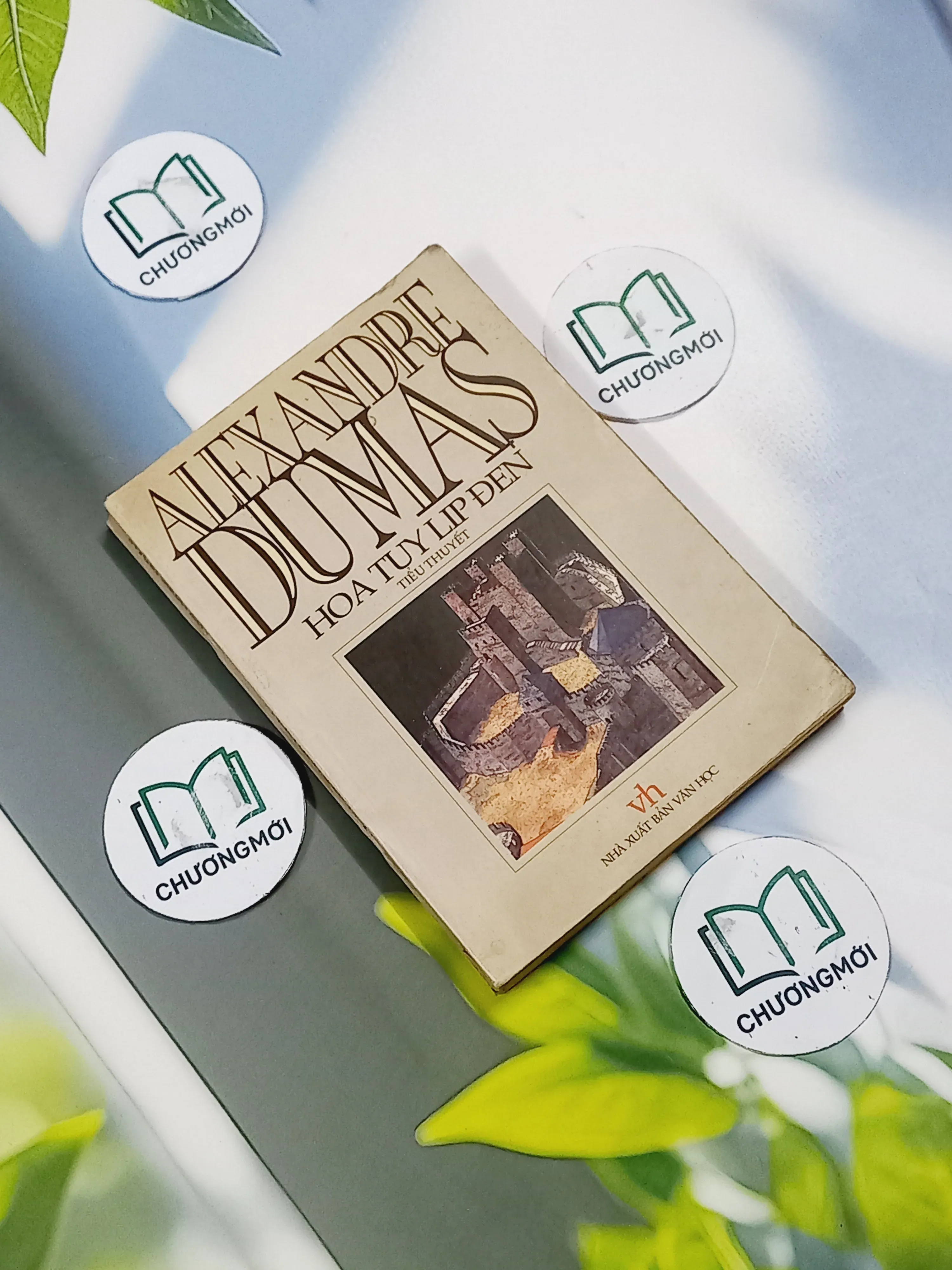 Hoa TuyLip Đen - Alexandre Dumas