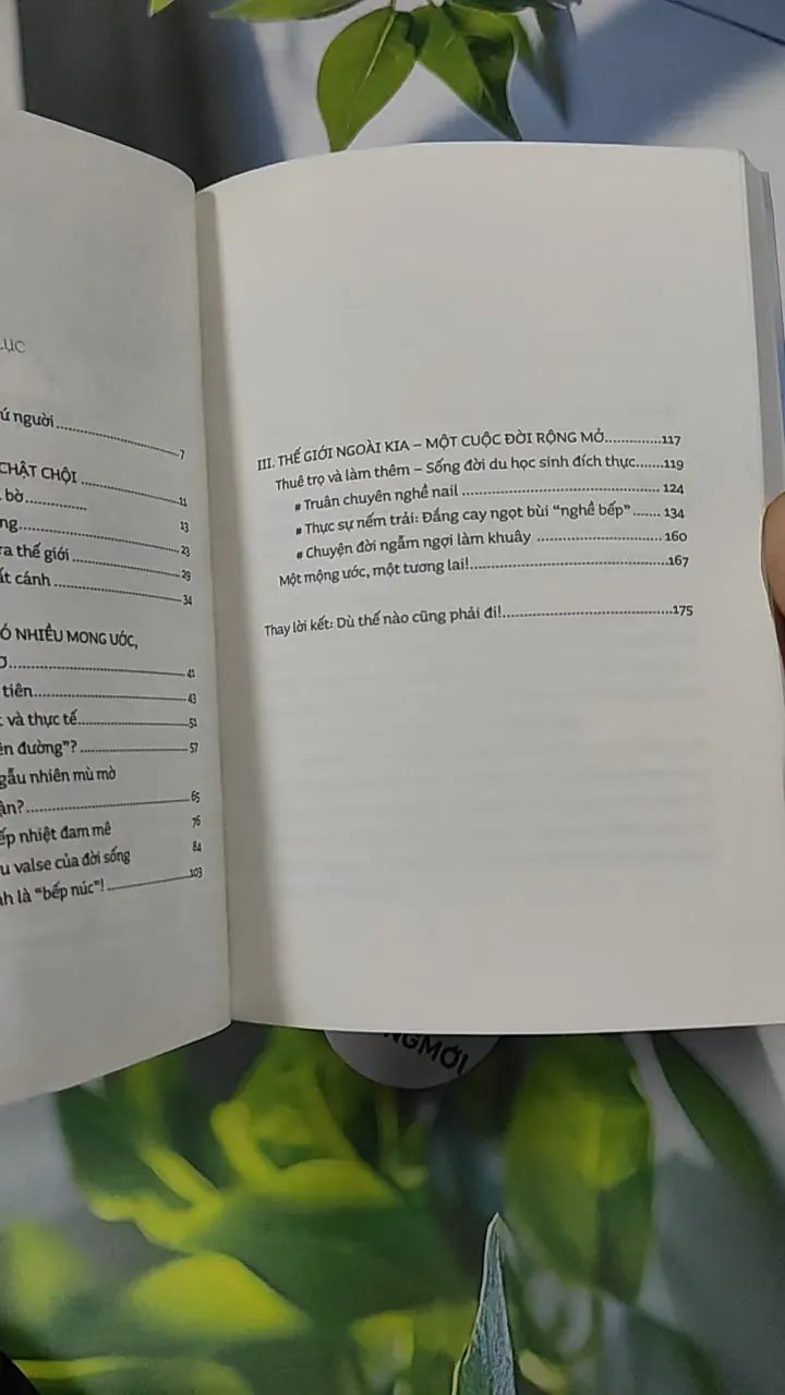 Dù Thế Nào Cũng Phải Đi - Đào Thu Hương 787128