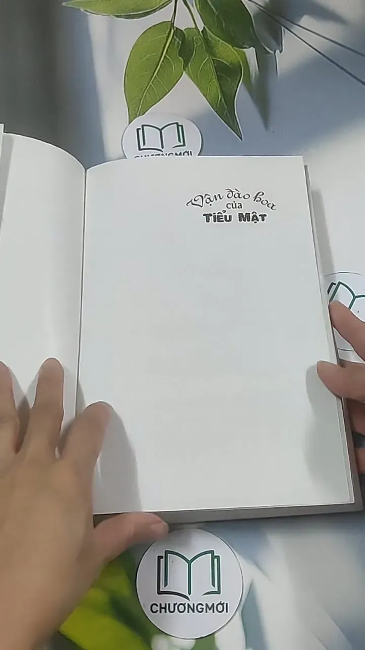 Vận đào hoa của Tiểu Mật - Bát Bảo Trang 688612