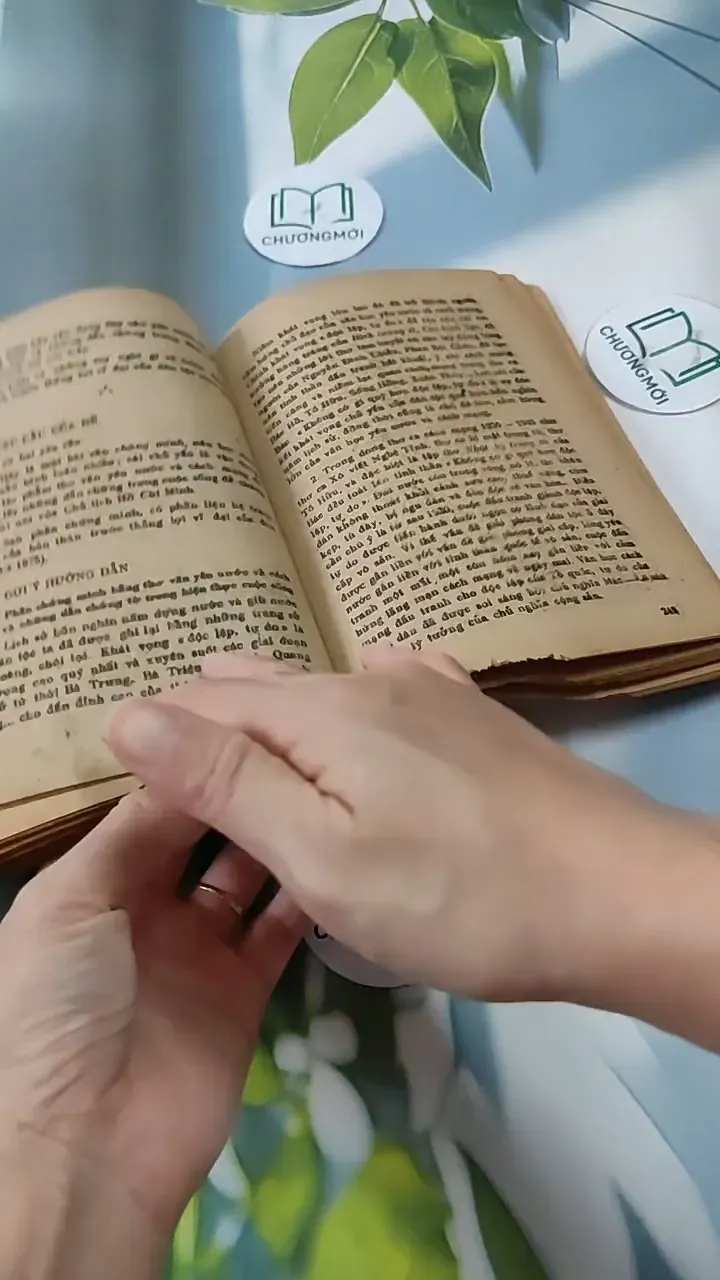 Hướng Dẫn Ôn Tập Và Làm Bài Thi Vào Các Trường Đại Học - Môn Văn 713821