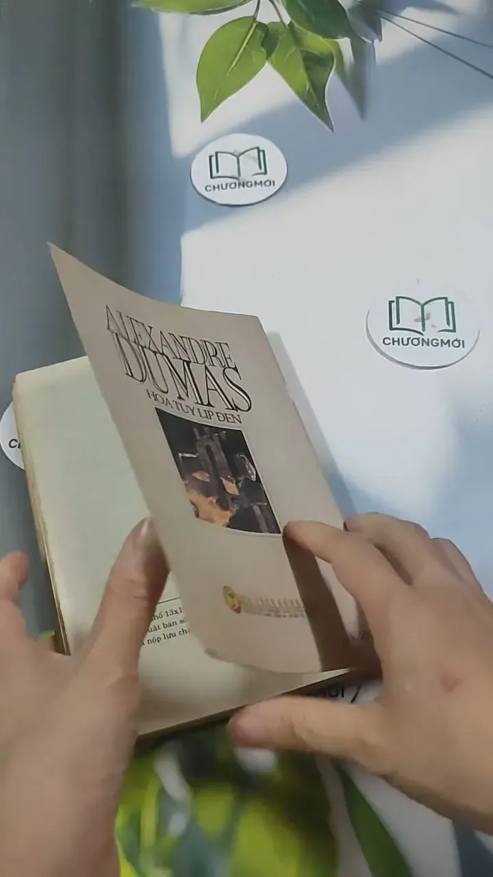 Hoa TuyLip Đen - Alexandre Dumas 715595