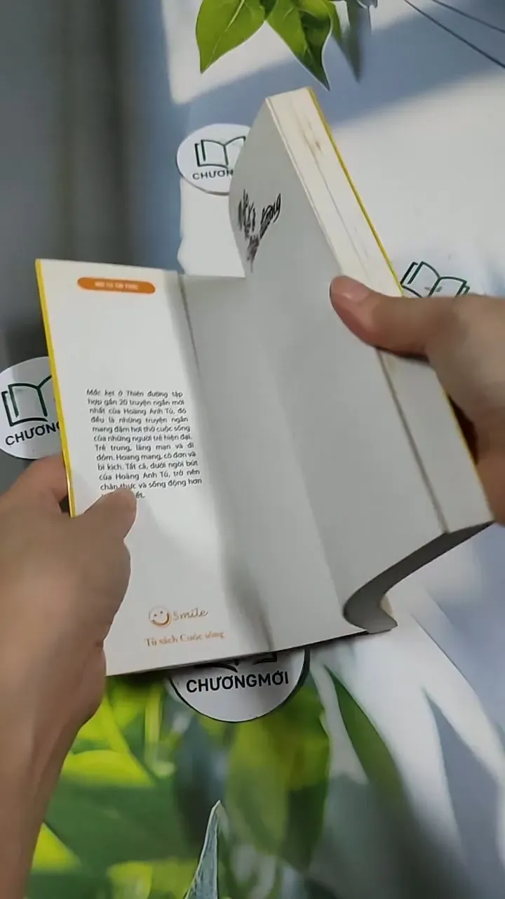 Mắc Kẹt Ở Thiên Đường - Hoàng Anh Tú 705660