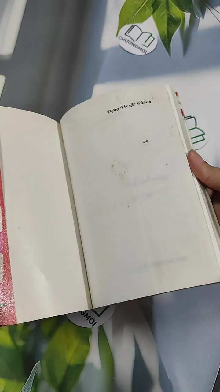 Dựng Vợ Gả Chồng - Hôn Lễ Và Nghi Thức - Phạm Côn Sơn 776172