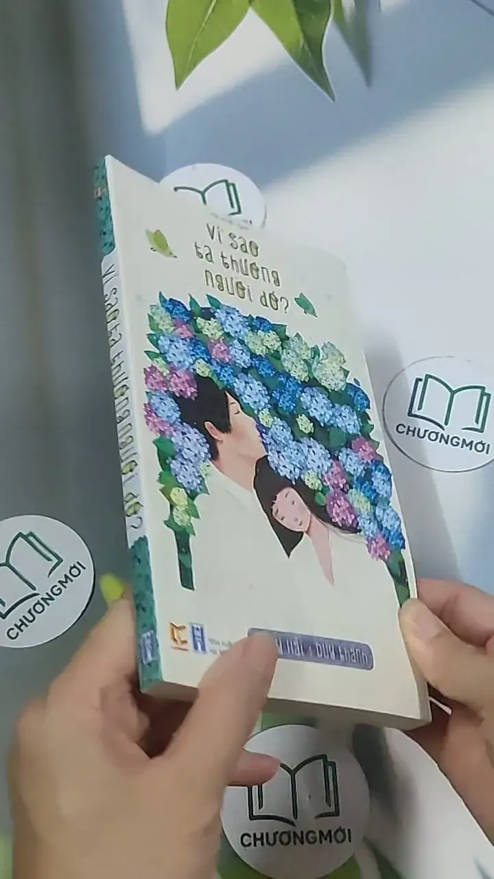 Vì sao ta thương người đó - Huy Hải 694987