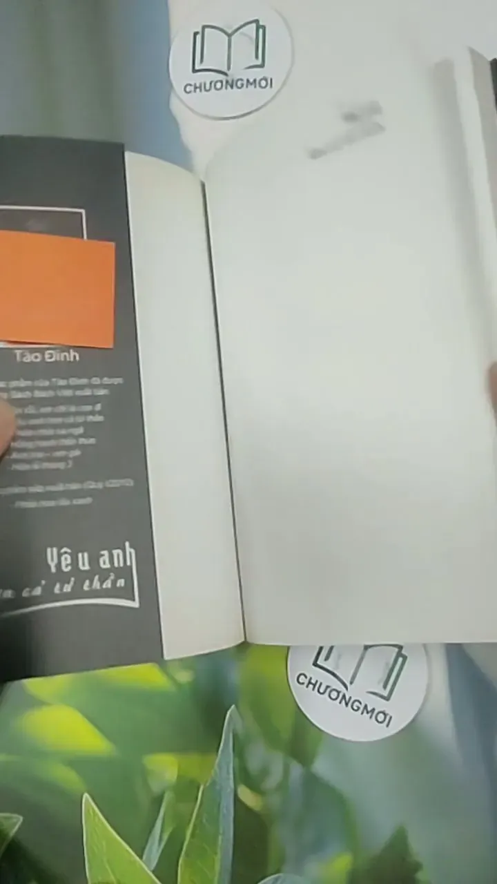 Yêu Anh Hơn Cả Tử Thần - Tào Đình 705636