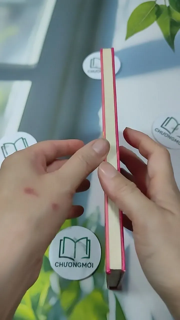 Bánh Tây Phương - Nguyễn Thu Dung & Nguyễn Thị Thanh Nhàn 727309