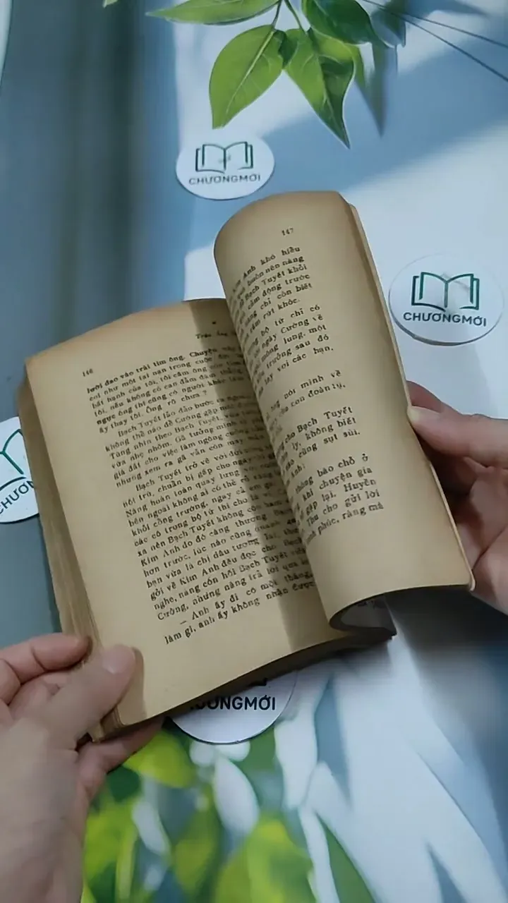 Nữ Sinh Nội Trú - Trần Áng Sơn 713865