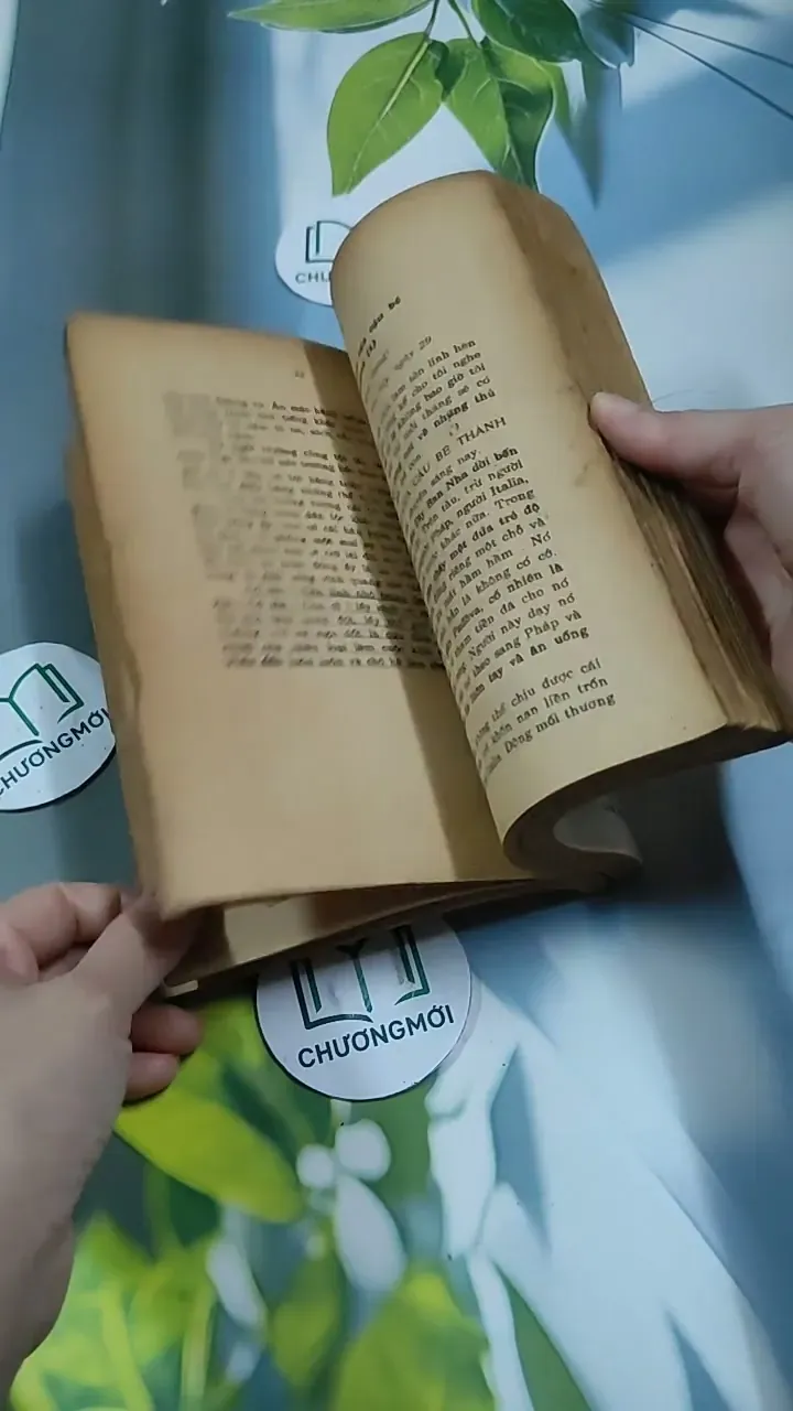 Tâm Hồn Cao Thượng (1989) 713894