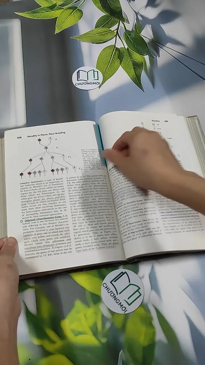 [MIỄN PHÍ BỌC SÁCH] The Plant World - Harry J. Fuller 750801