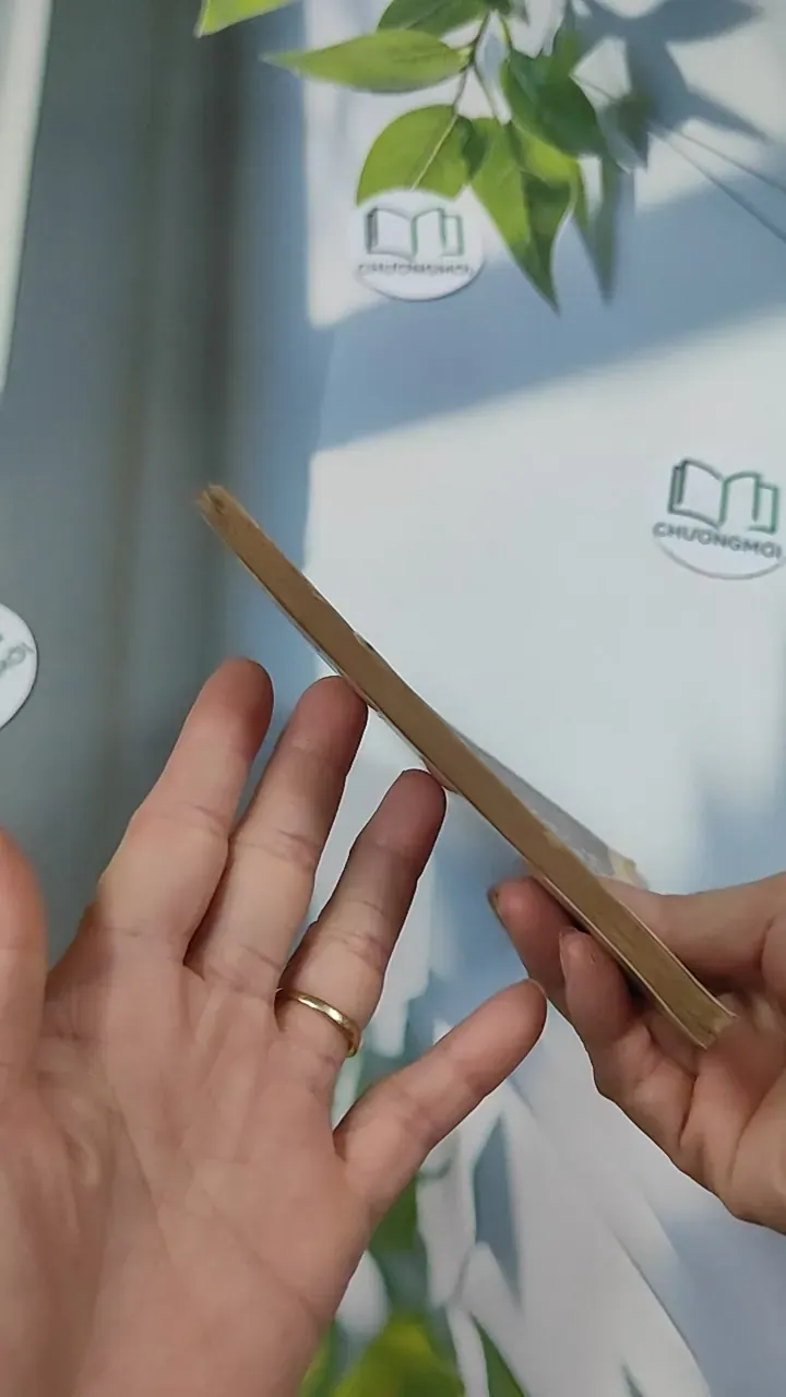 [XƯA] Giảng Văn Chinh Phụ Ngâm (1992) - Đặng Thai Mai 776035