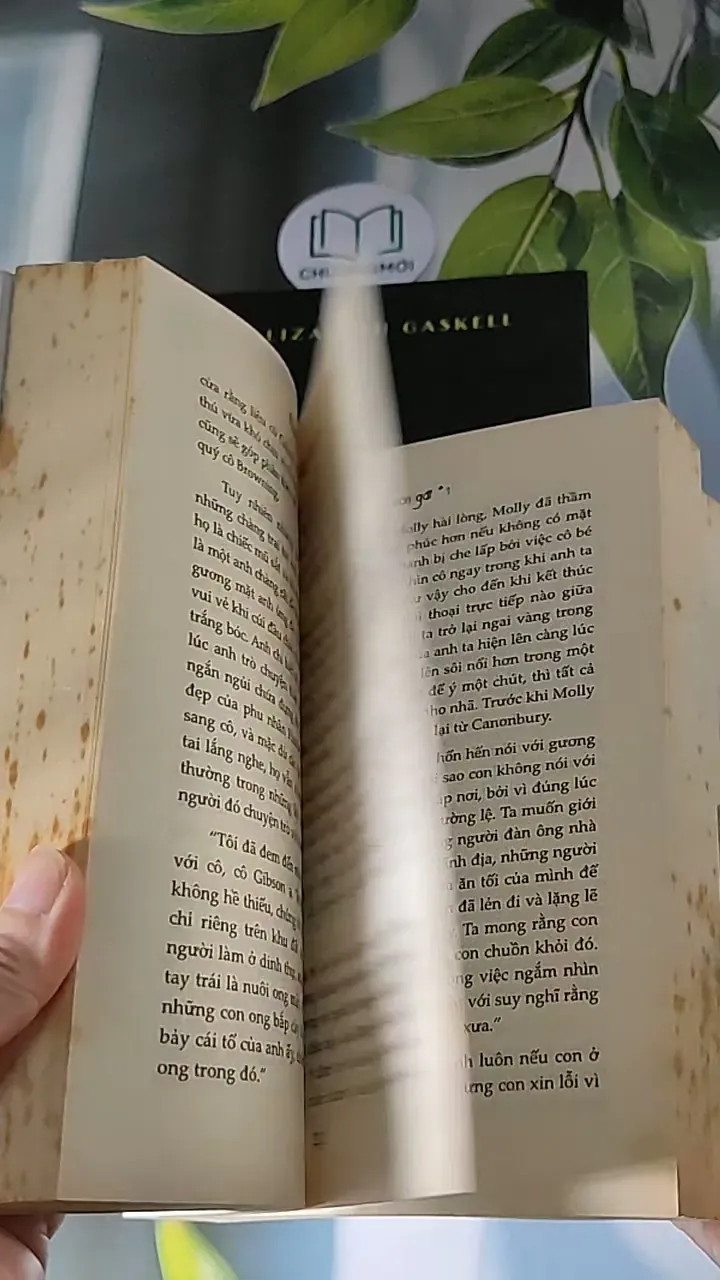 [MIỄN PHÍ BỌC SÁCH] Vợ và con gái ( Tập 1 + 2) (2016) - Elizabeth Gaskell 607675