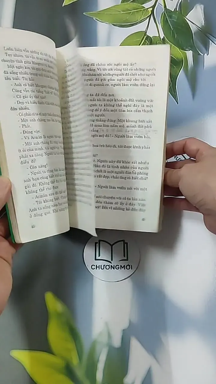 Trà Hoa Nữ 674981