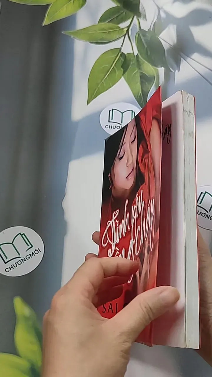 Tình yêu nồng cháy - Sái Cần Cần 688657