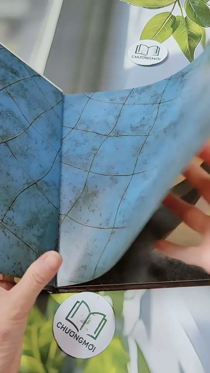 [Tặng nẹp góc] Truyện thiếu nhi Hàn Quốc: Moyamo Anu 27 -  모야모 아누와: 은혜 갚은 물고기 732020