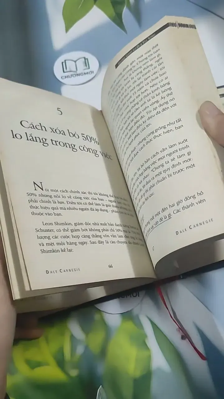 Quẳng Gánh Lo Đi & Vui Sống - Dale Carnegie 715576