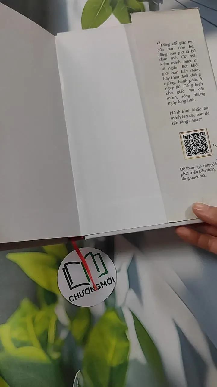 [MIỄN PHÍ BỌC SÁCH] Hành Trình Khắc Tên Mình Lên Đá - Diệu Thu 749593