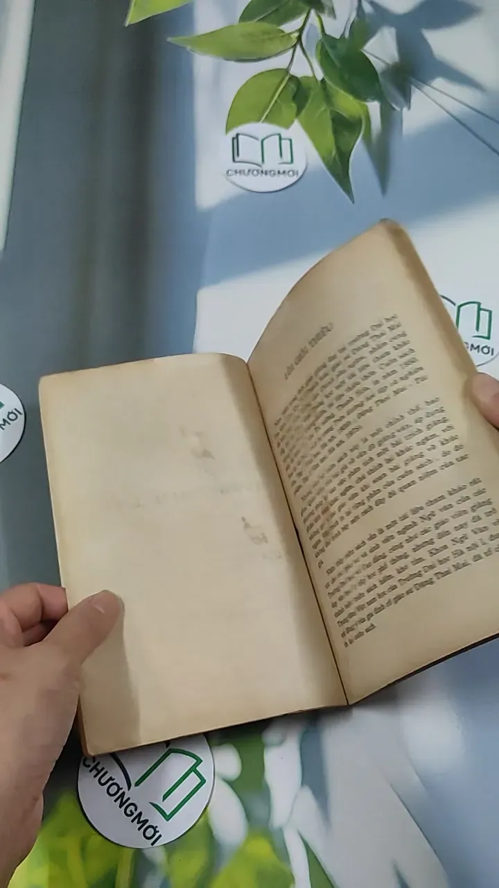 [XƯA] Giảng Văn Chinh Phụ Ngâm (1992) - Đặng Thai Mai 776035