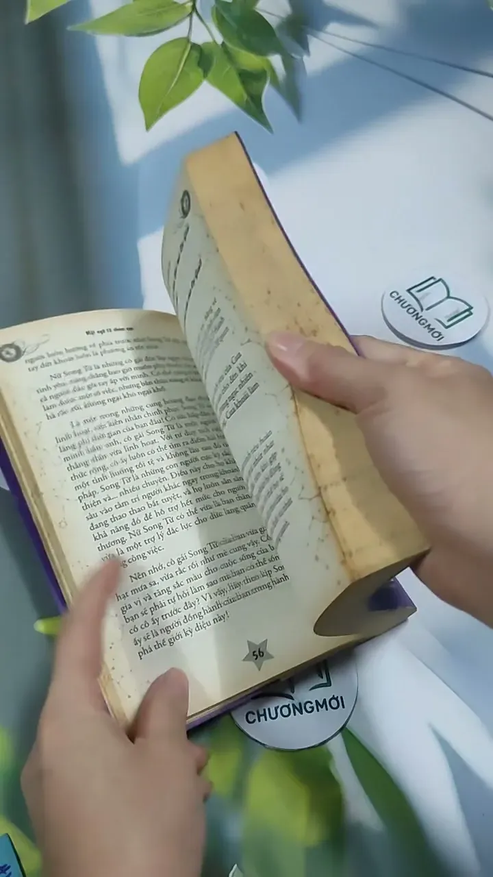 Mật Ngữ 12 Chòm Sao: Mật Ngữ Tình Yêu - MN12CS 707311