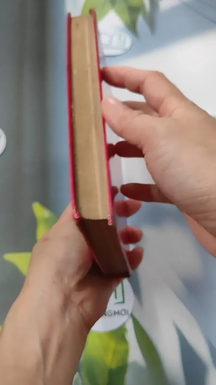 [MIỄN PHÍ BỌC SÁCH] A Book of Russian Idioms Illustrated - M.I. Dubrovin 749568