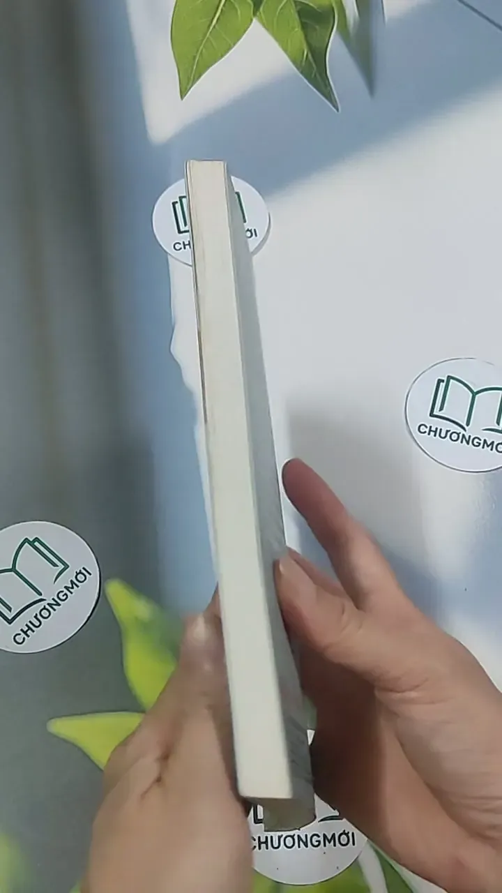 Giường - Phan An 694986