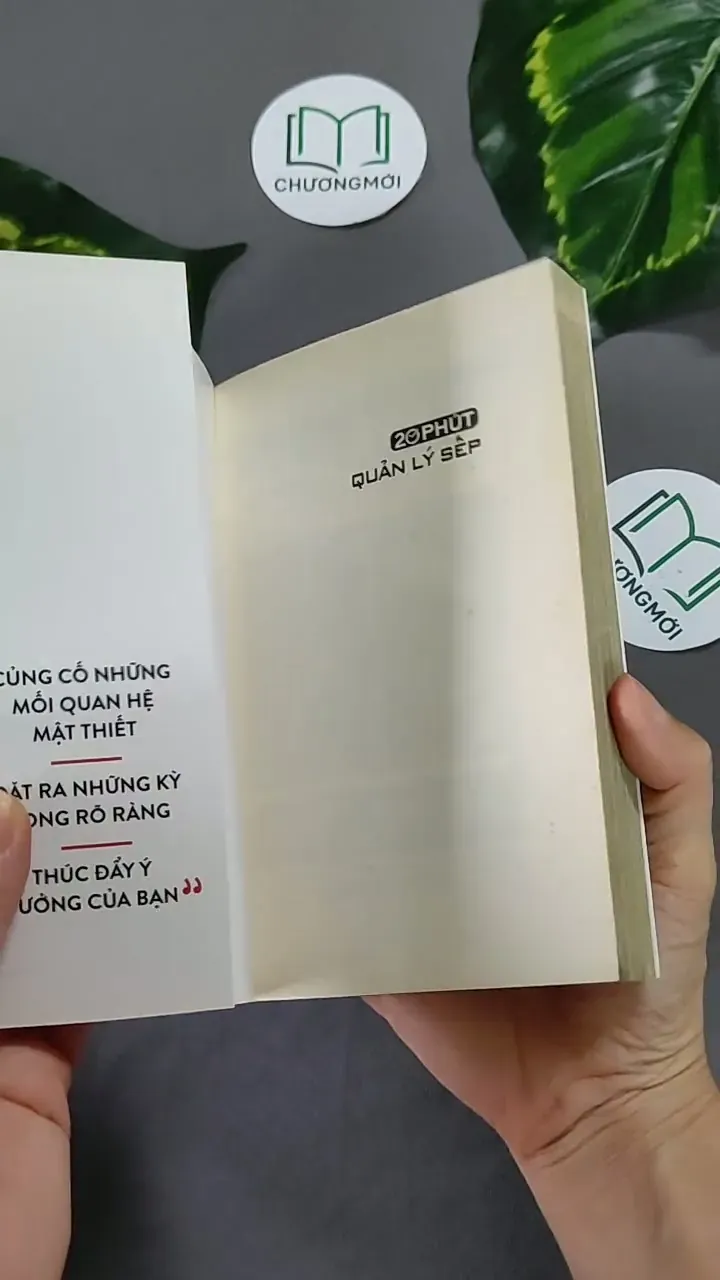 20 Phút Quản Lý Sếp - Harvard Business Review Press 604651