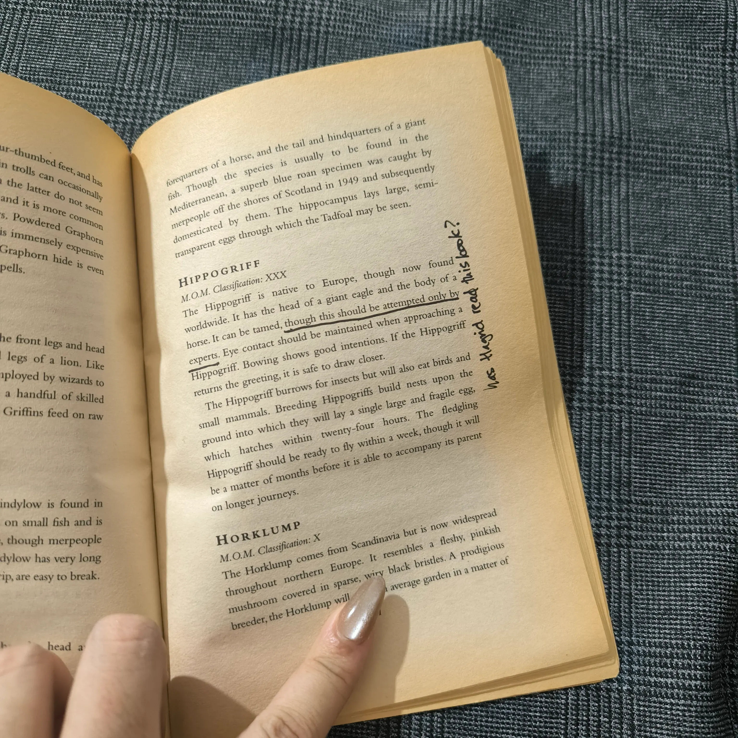 (Harry Potter) Fantastic Beasts & Where to find them - Newt Scamander 1005100