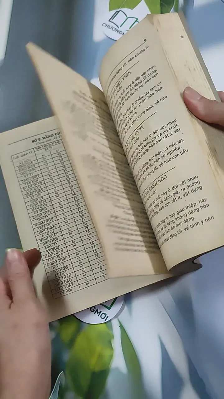 Căn Duyên Tiền Định - Dương Công Hầu 776242