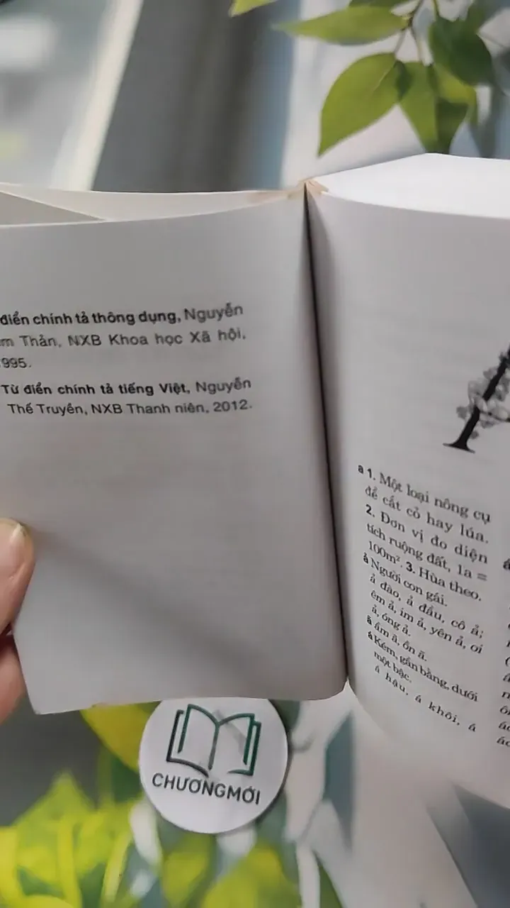 Từ Điển Chính Tả Tiếng Việt 727289